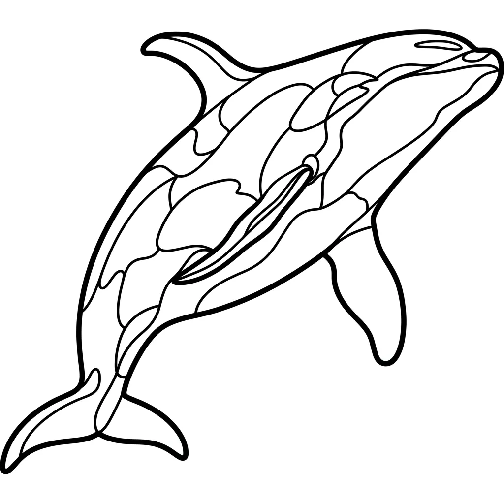 Orca 17 para colorear para imprimir para niño de 4 años